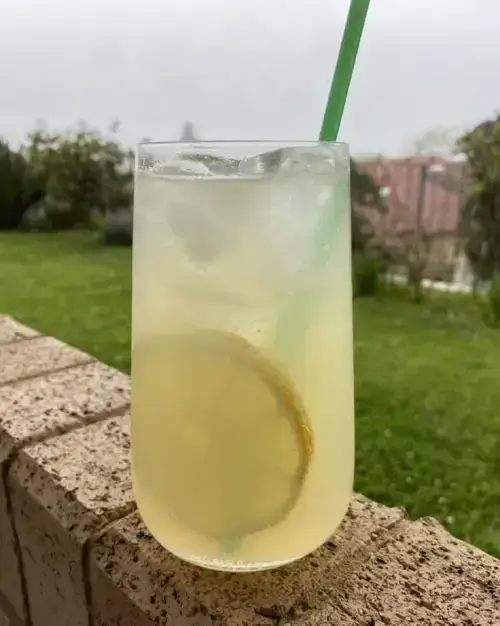 Handmade Lemonade